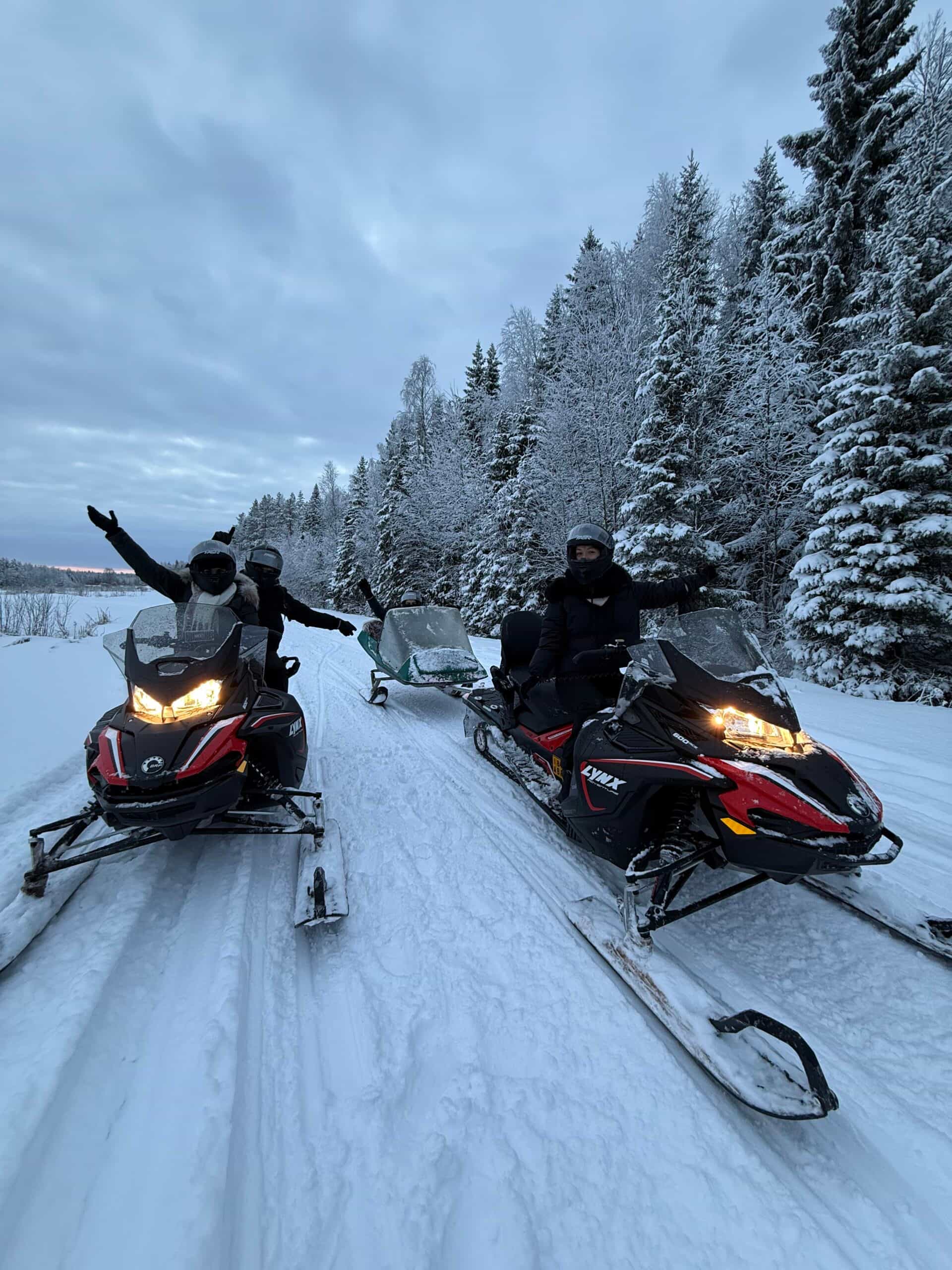 Snowmobile drive experience
