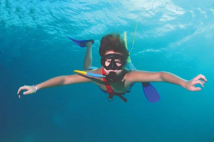 Guided Scuba Diving in Cabo Pulmo