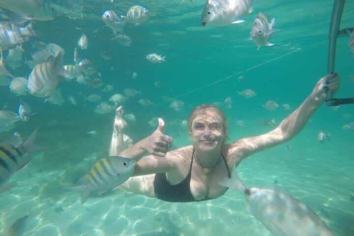 Full-Day Speedboat Tour in Angra and Islands with pick-up in Rio