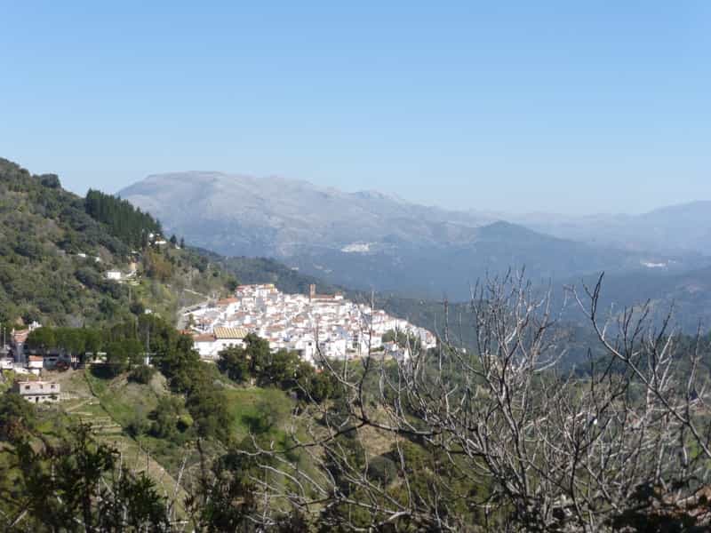Seville to Ronda Private Driver Service with stop in Setenil