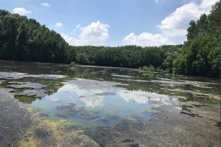 Private Tour Can Gio Mangrove Biosphere