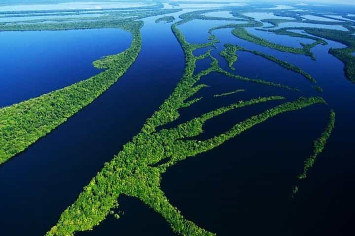 8-Hour Amazonas Jungle Treck & Anavilhanas Archipelago