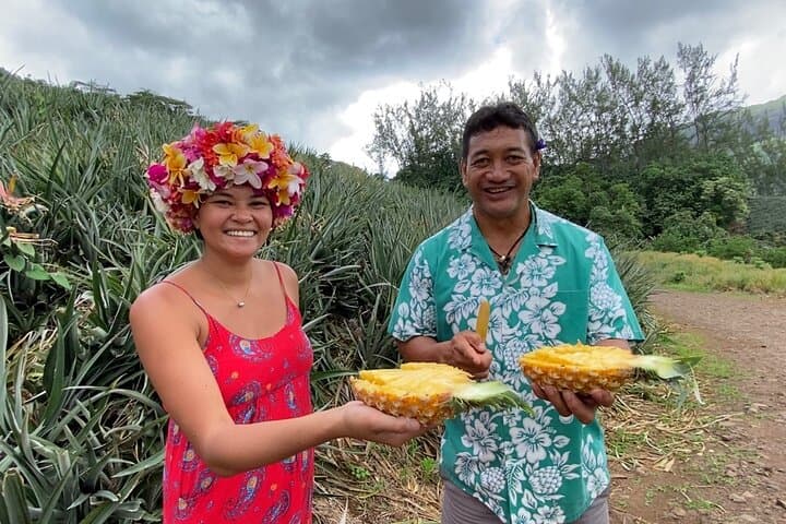 ALBERT TOURS: Excursion 4x4 safari with private SWING view point