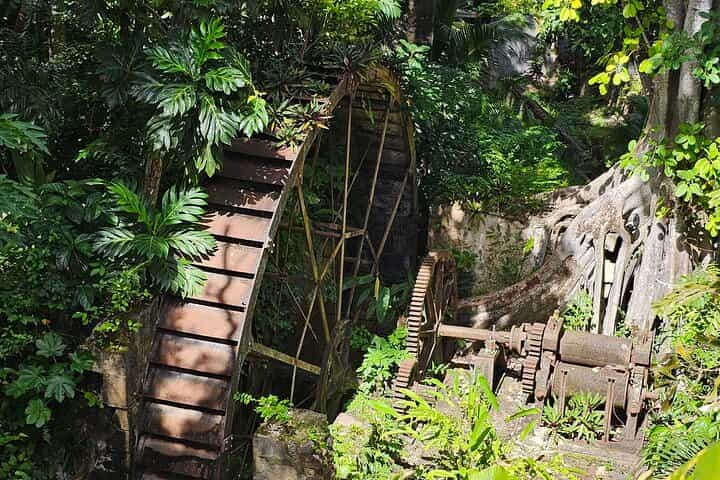 Gardens and Nature Chauffeur Adventures St. Lucia