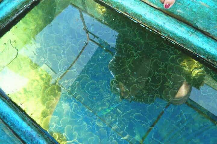 Private Glass Bottom Boat Ride in Trincomalee Beach