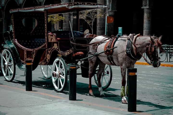 Private Photo Session in the City of Guadalajara