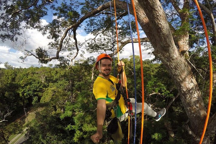 Tree Climbing in the Amazon