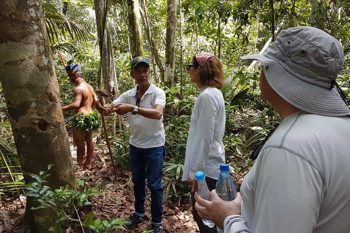 Amazon Forest Tour 4-Hour Trekking