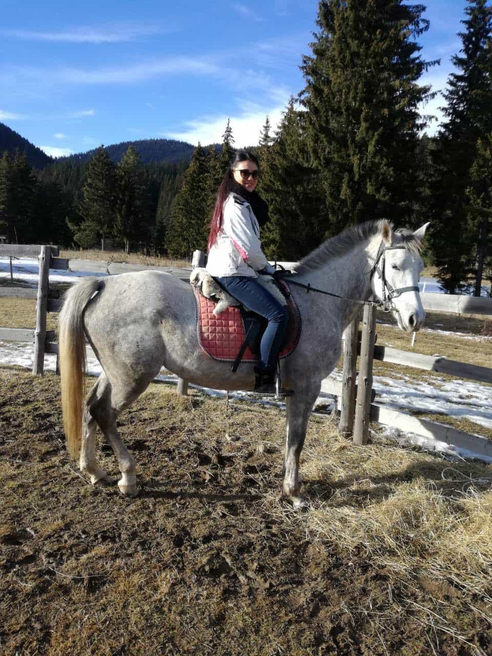 Private Horse Riding near Rhodope Mountains from Plovdiv