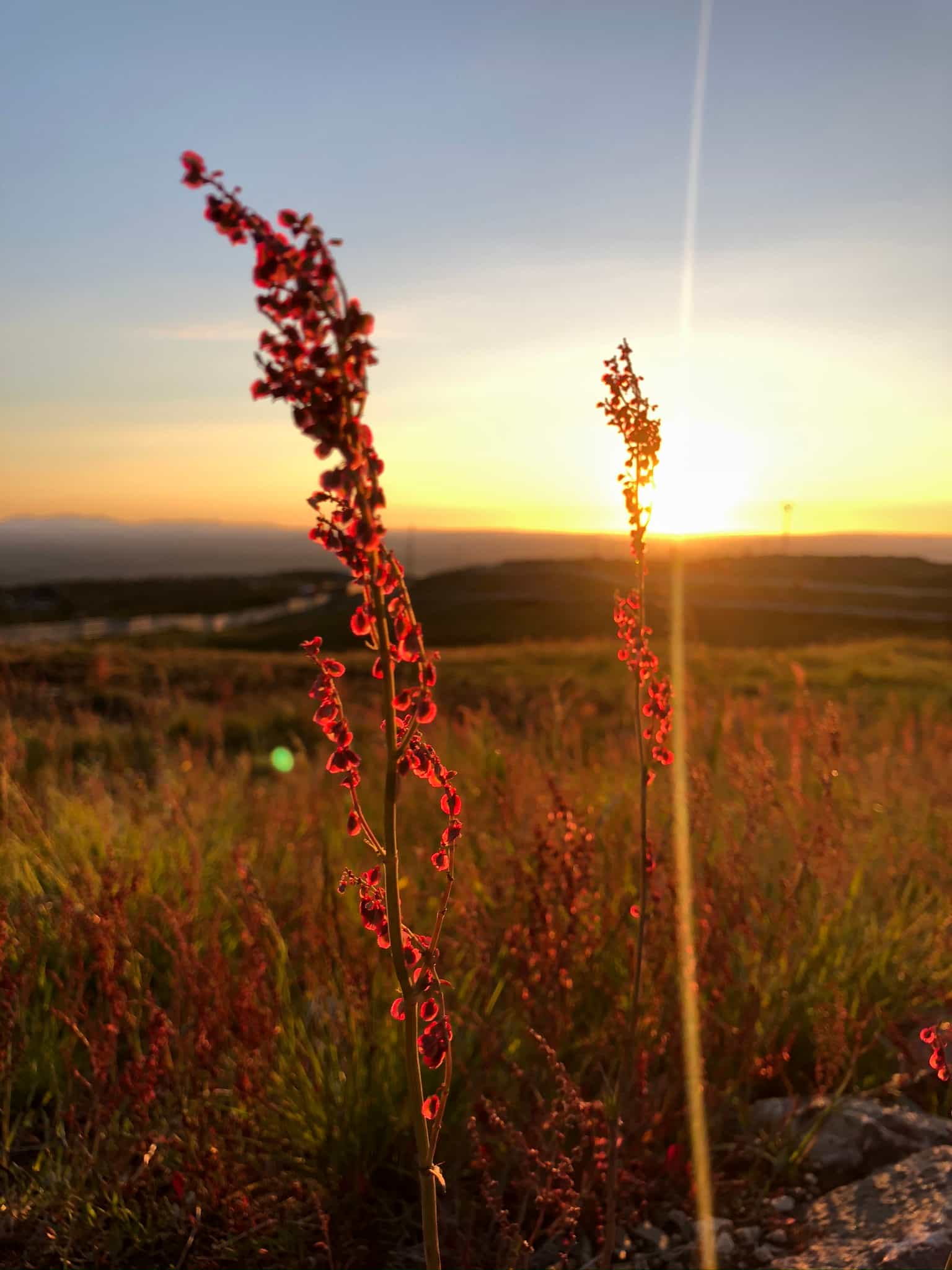 Midnight Sun Hike in Levi
