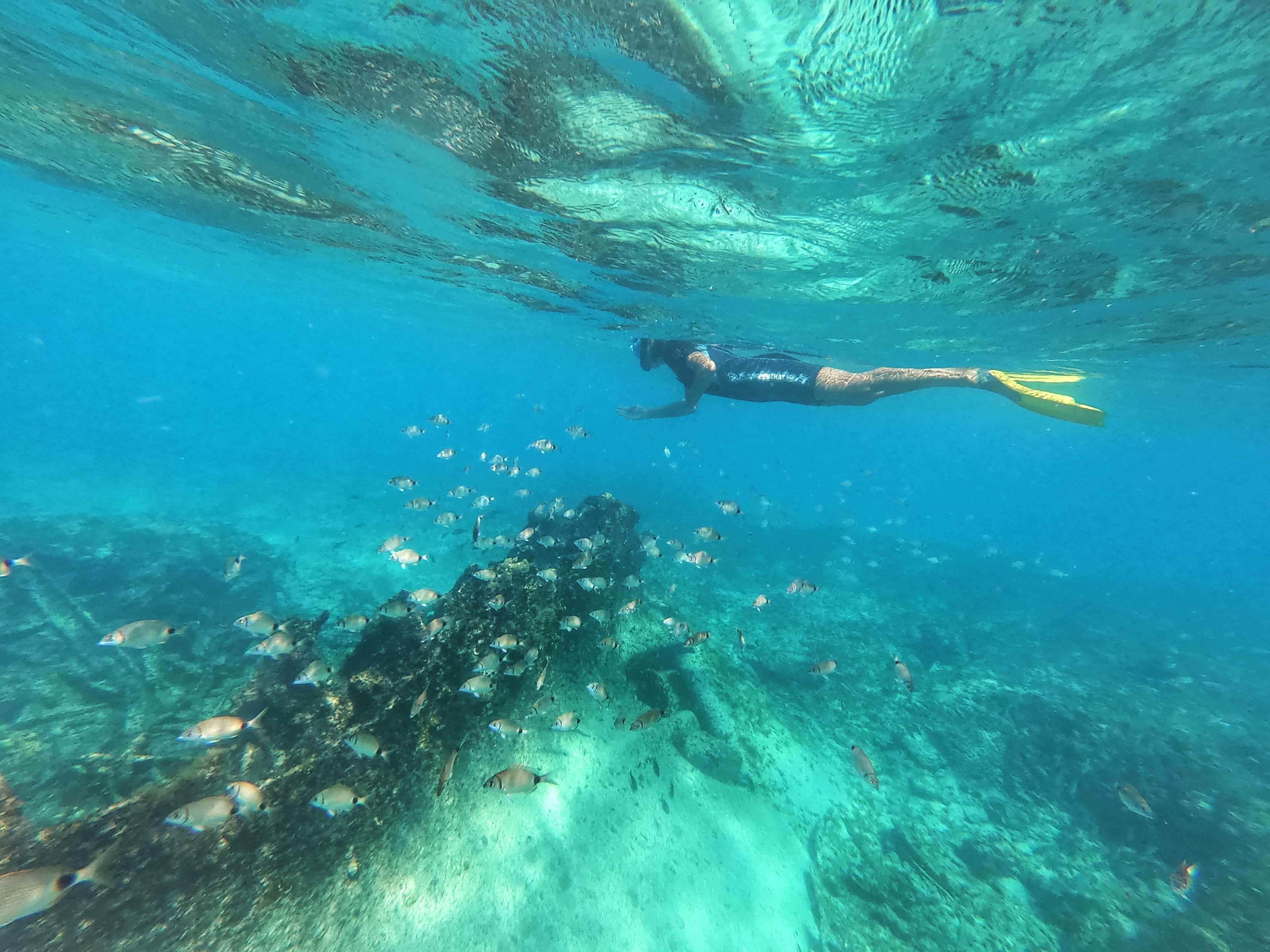 Snorkeling Excursion