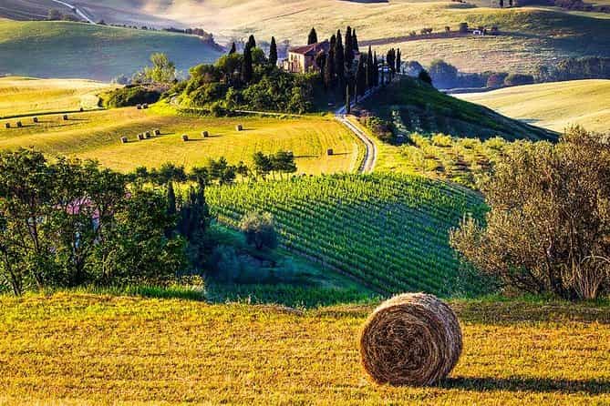 Tuscany Wine & Hills from Florence