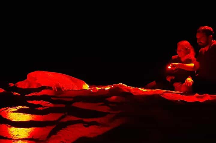 Santa Maria Sea turtle watching experience on Sal Island