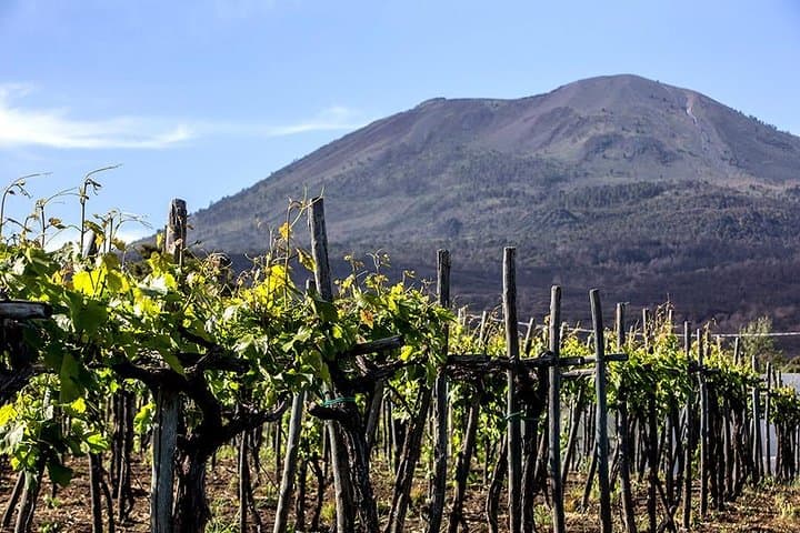 Pompeii, Herculaneum, Mt Vesuvius, Winery Tasting & Lunch pack