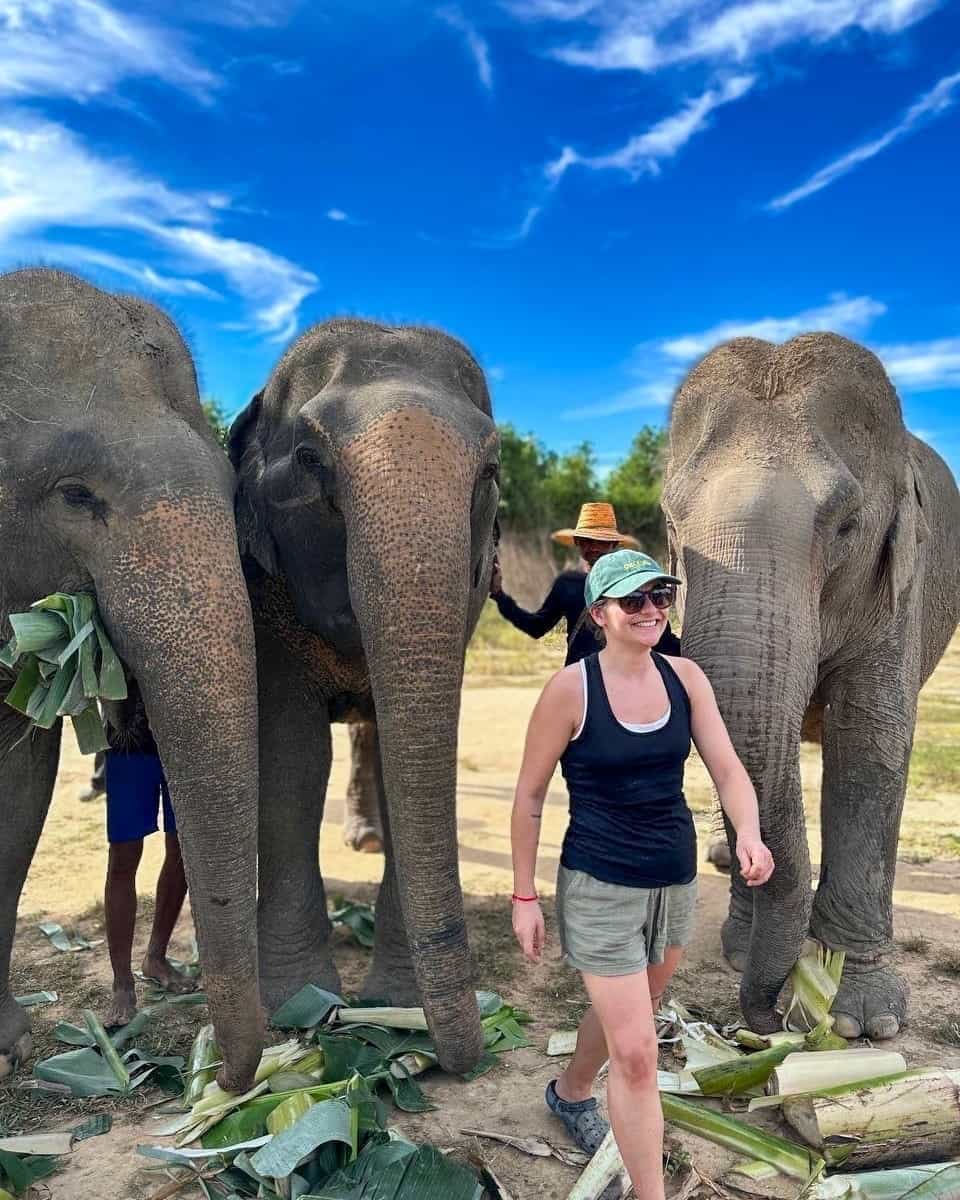 Cambodia Elephants and Phnom Kulen National Park Day Tour