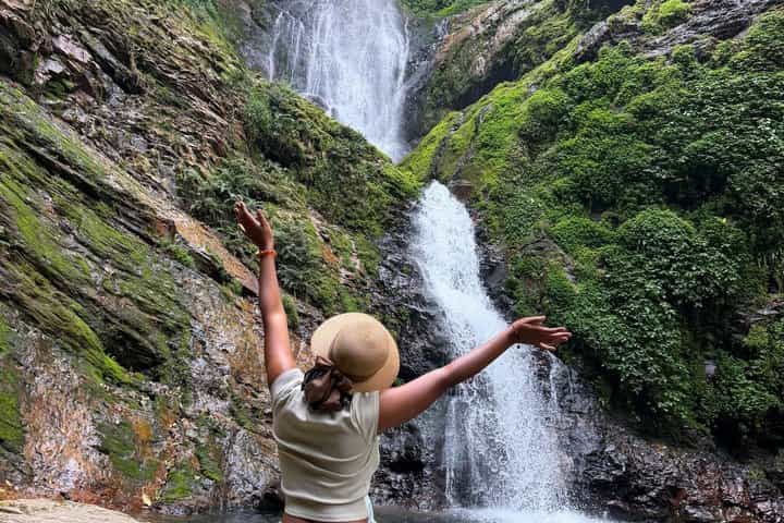 1-Day Nyungwe National Park: Canopy Walk, Zipline & Waterfall