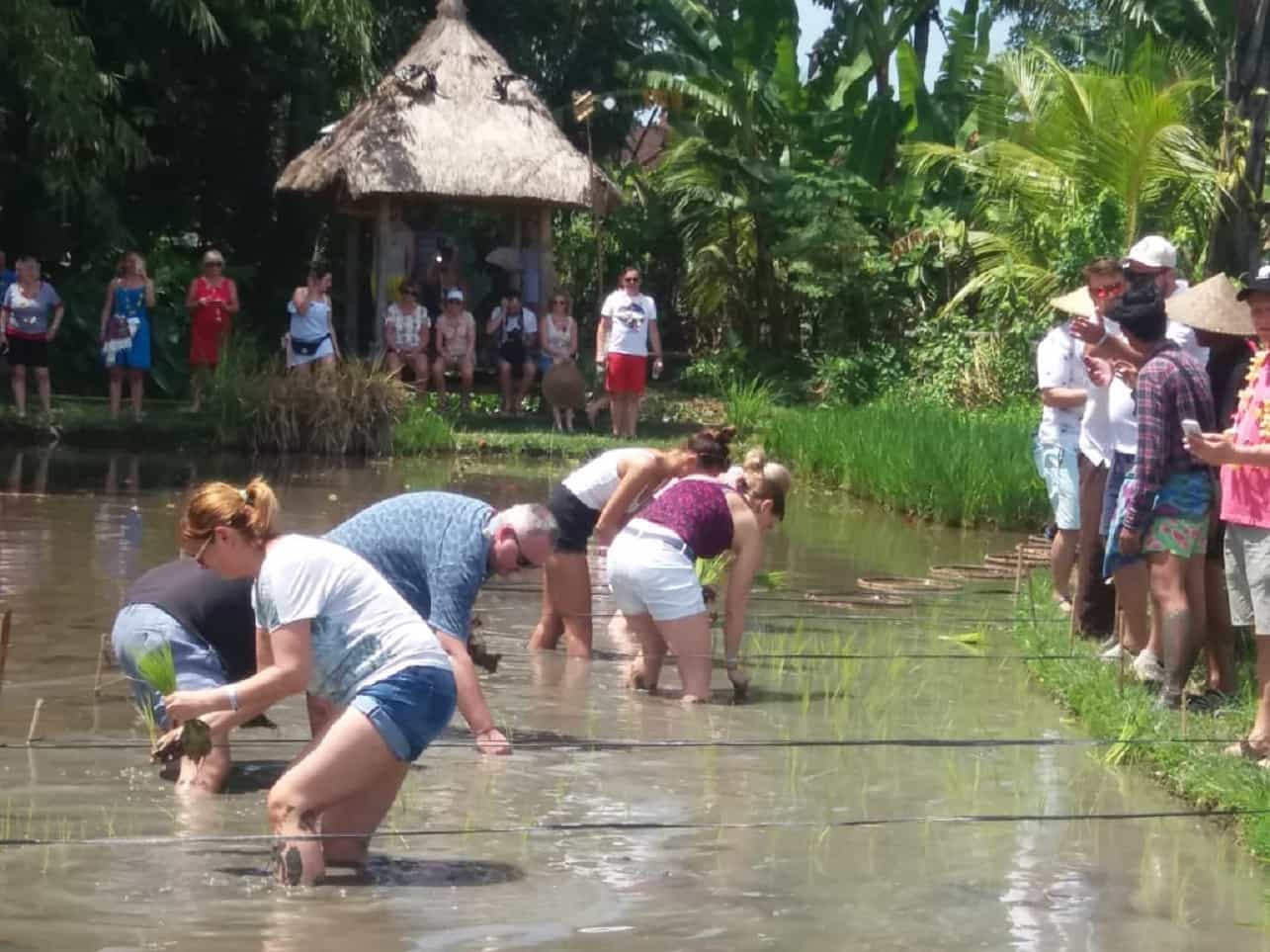 Private Balinese Village and Tanah Lot Temple Cultural Tour