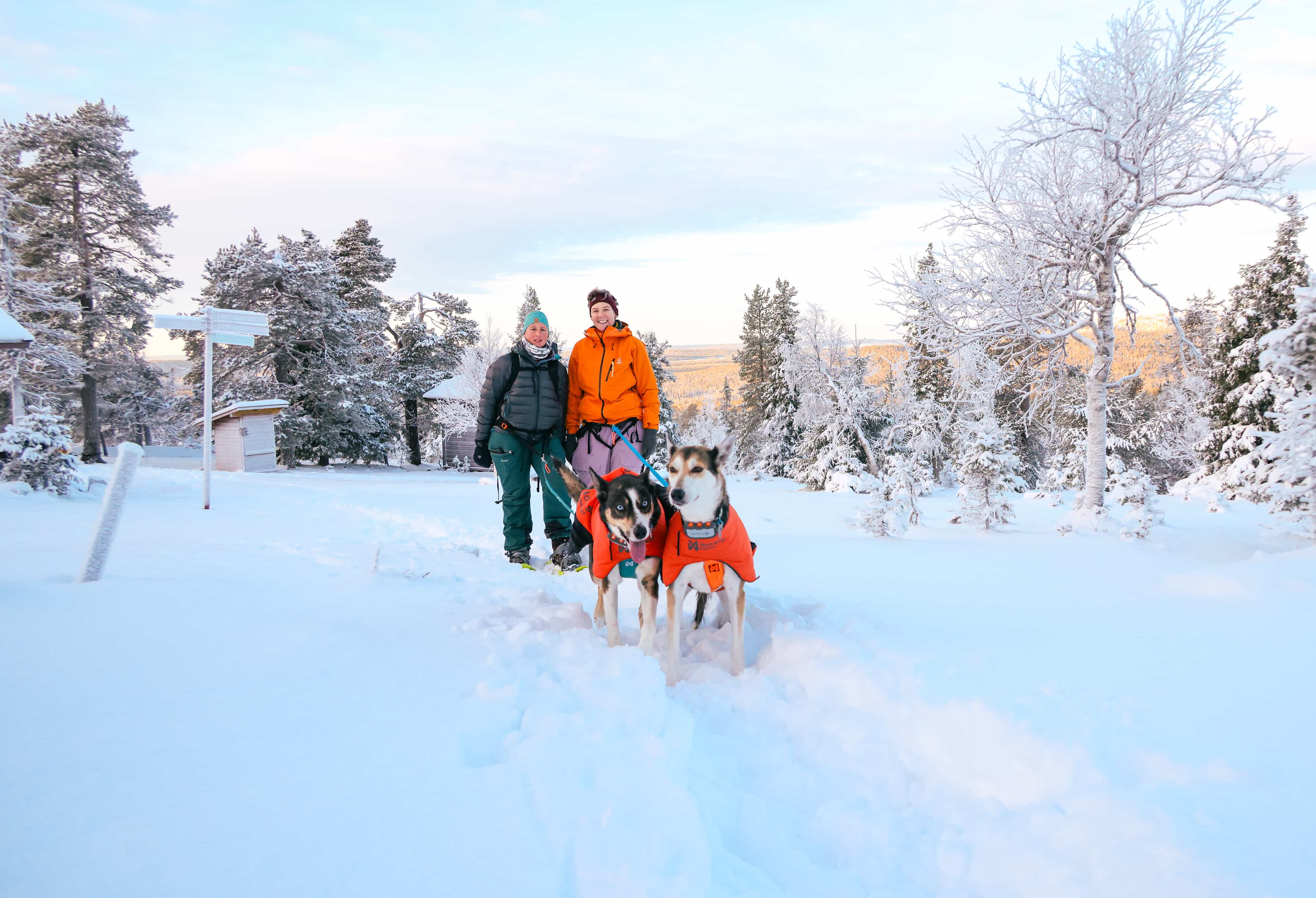 Explore Wild Arctic Trails, 1:1 with Your Husky