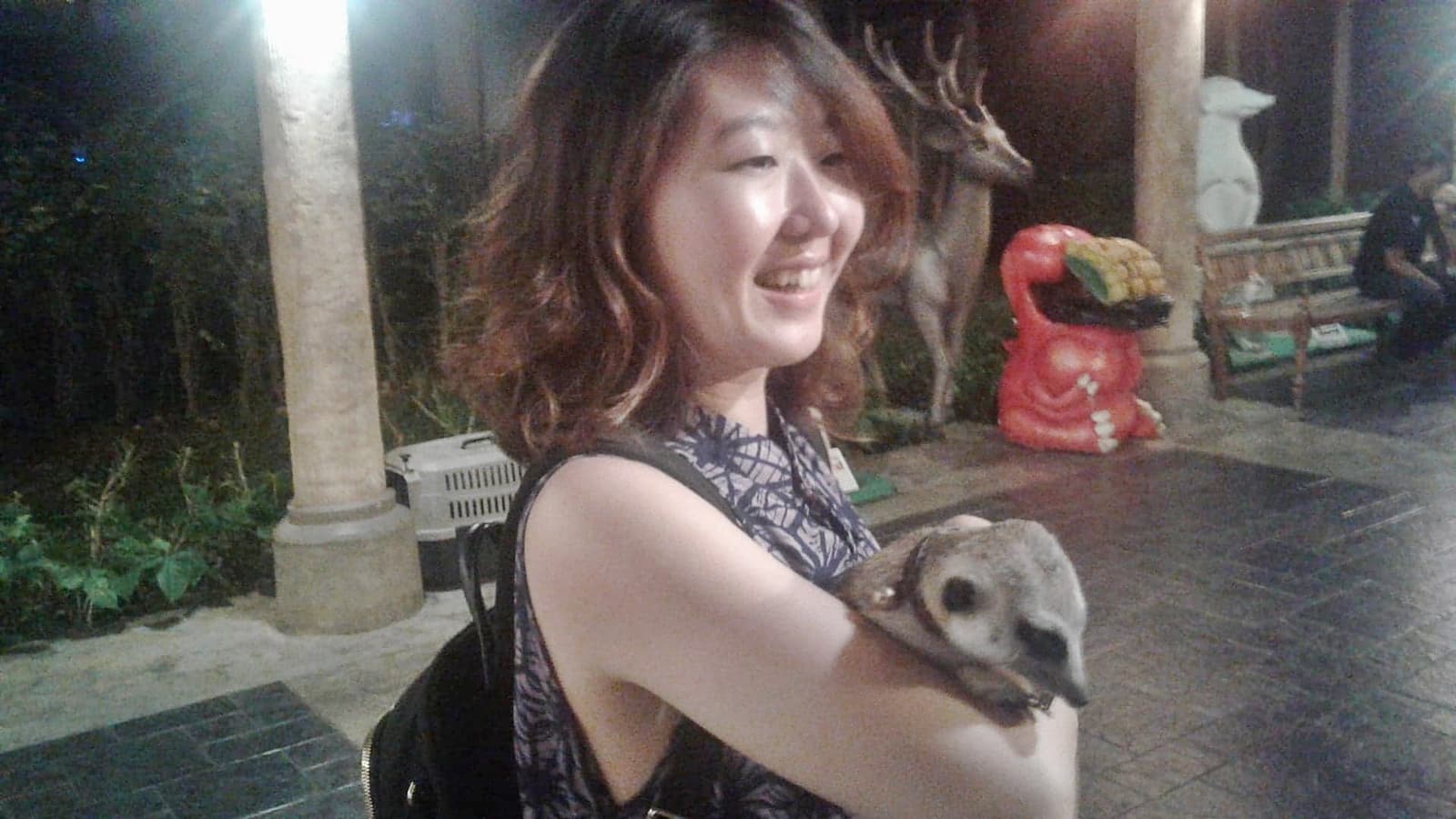 Chiangmai Night Safari Ticket & Transfer