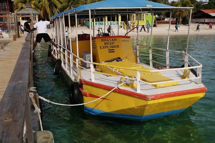 All inclusive Glass Bottom boat Wild life encounter and Beach