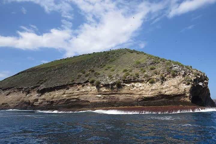 Snorkeling tour at tortuga island from Isabela