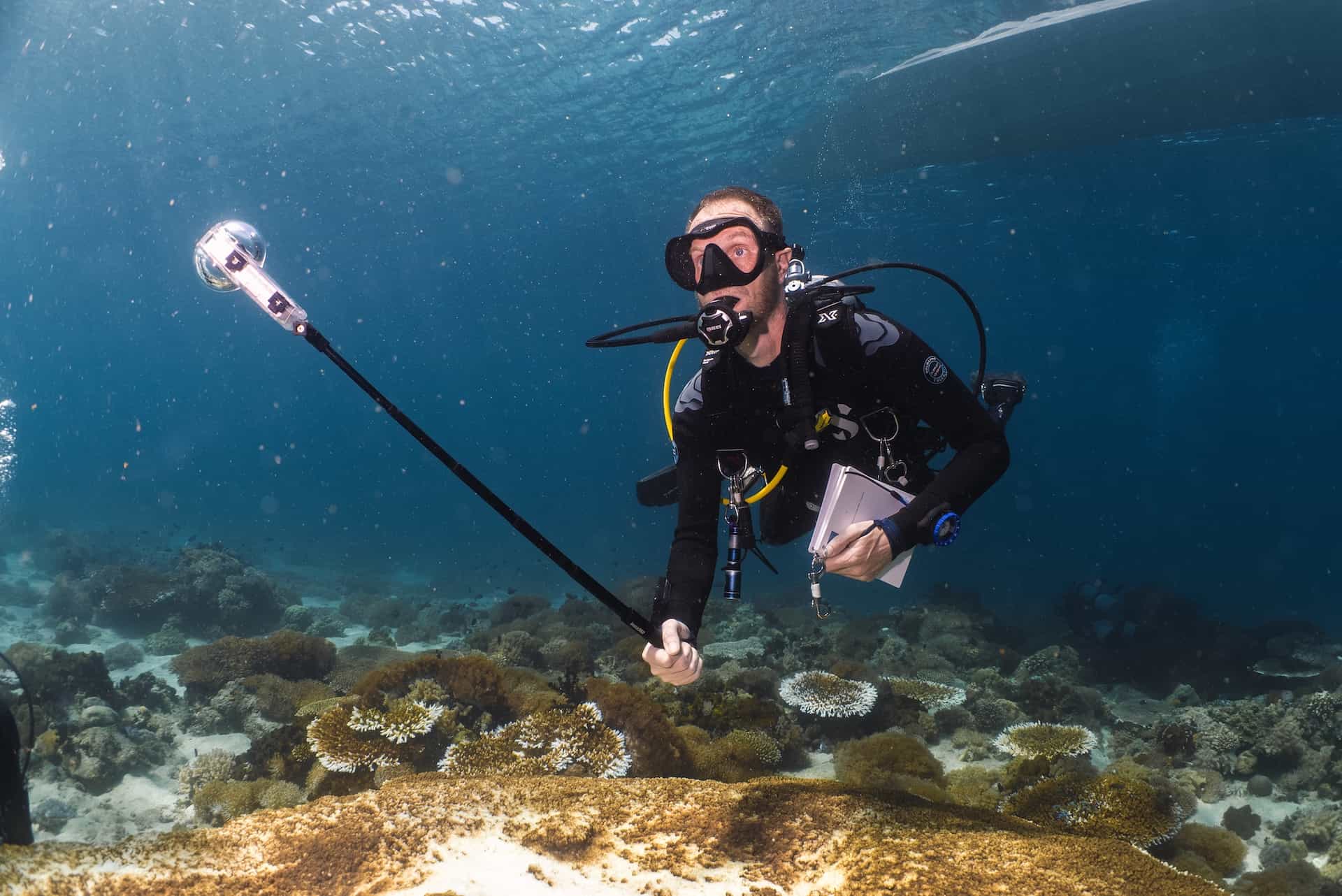 Shark Quest — Protecting Sharks With Science