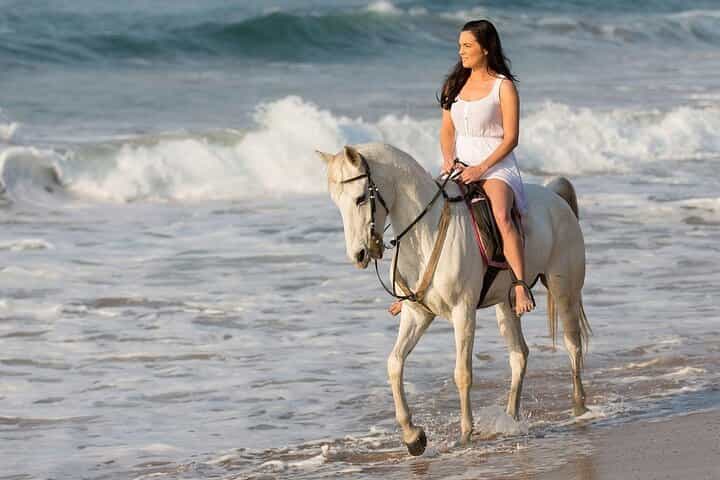 Beach Horse Riding Hurghada 1 or 2 Hours with Swimming Option