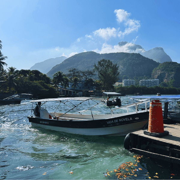 Gigóia Island: Boat Ride and Walking Tour to Rio's Pantanal Private Tour