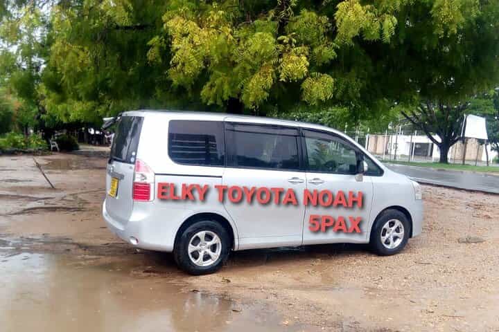 Elkydianibeachtaxis