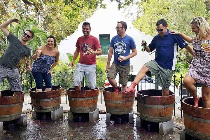 Full Day Wine Tour in Stellenbosch with Shine The Way Tours
