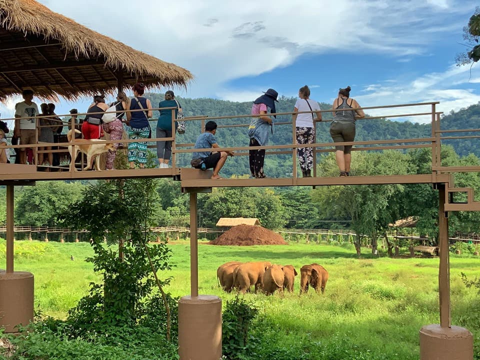 Chiang Mai:Ethical Elephant Observation Nature Park Visit