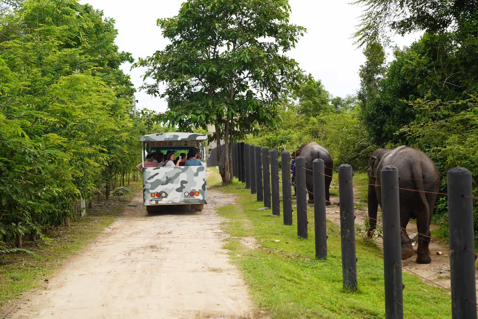 Hua Hin: Wildlife Friends Foundation Thailand Full-Day Visit