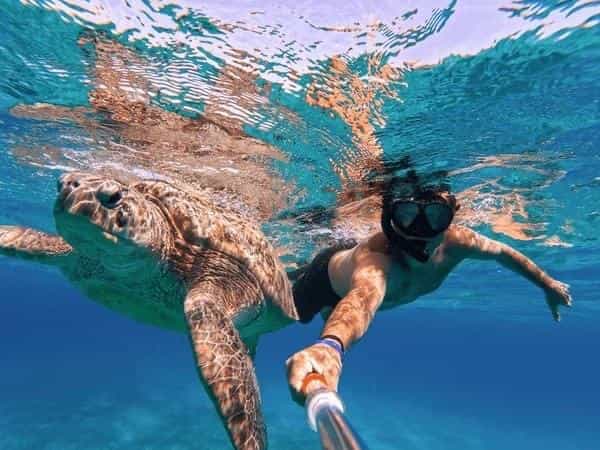 Ras Mohammed and the white island snorkeling