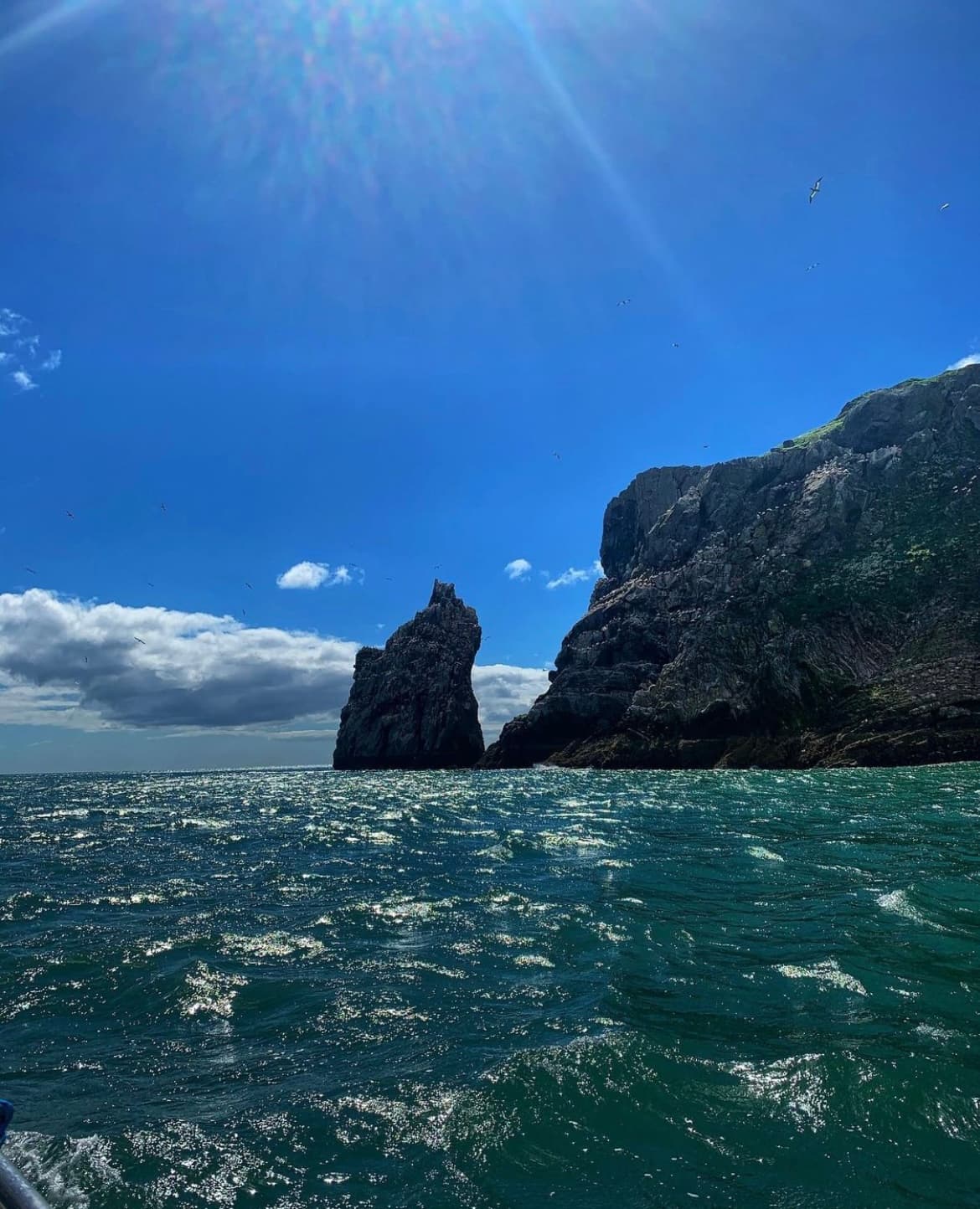 Ireland's Eye and Howth Coast Boat Tour