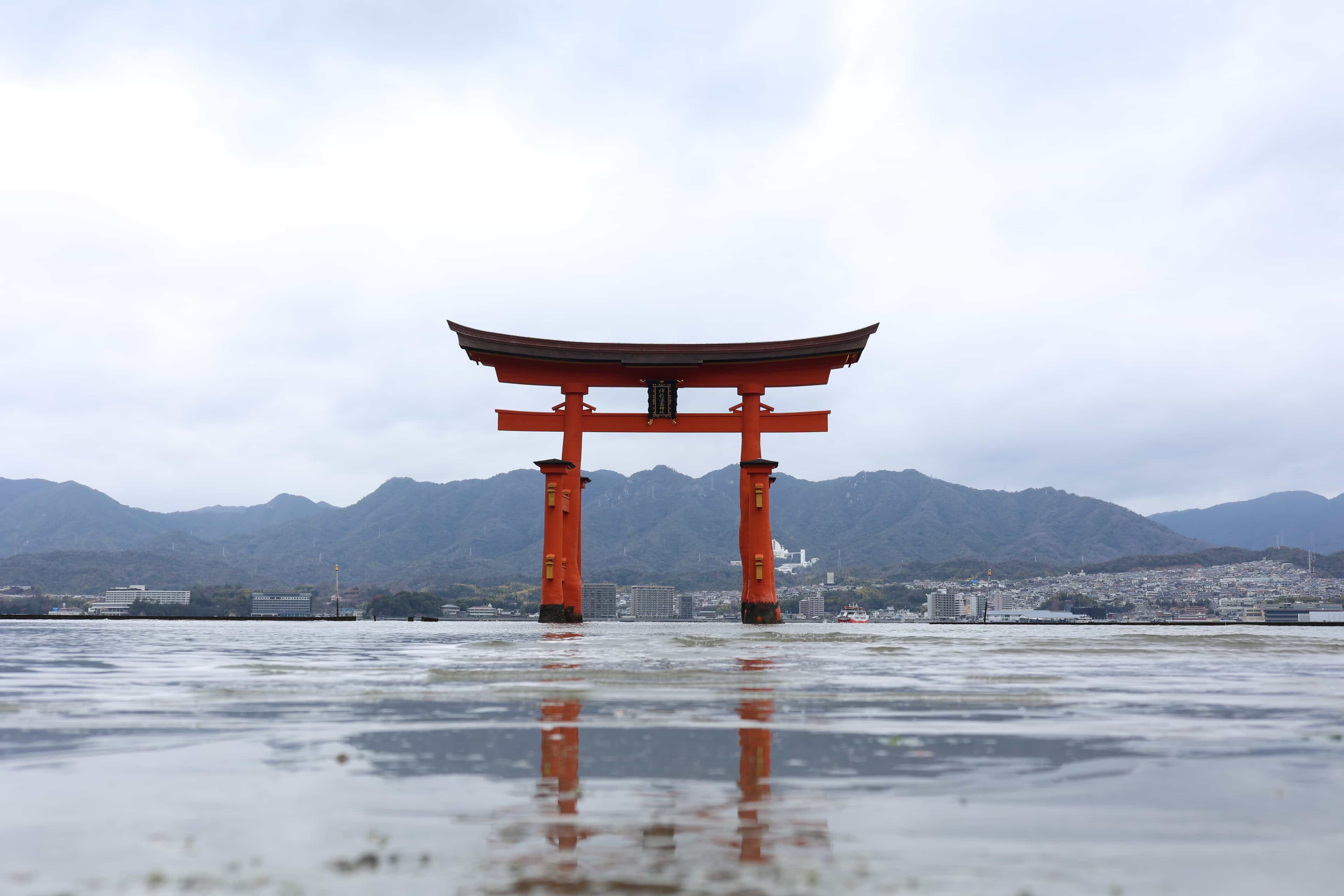 Miyajima Private History Tour (Half Day)