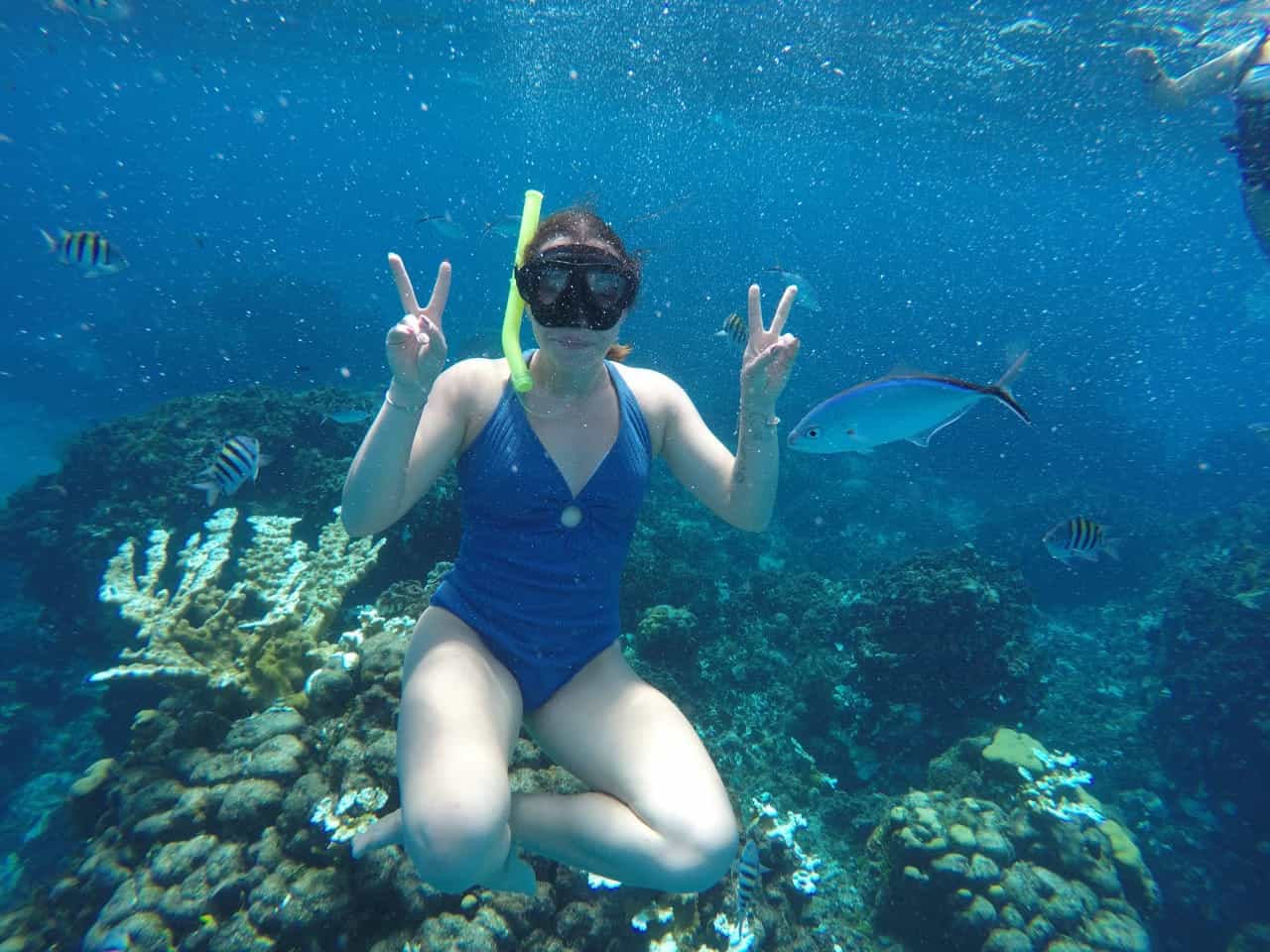 Snorkel Compartido al Cielo en Cozumel / Shared Sky Snorkell in Cozumel