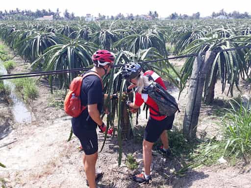 5-Day Mekong Delta Bike Tour from: Sai Gon to Cao Lanh