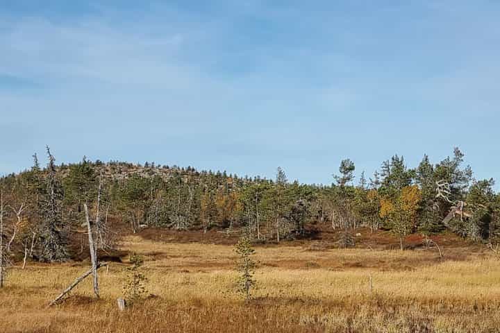 Day Hike in Salla National Park from Ruka Kuusamo