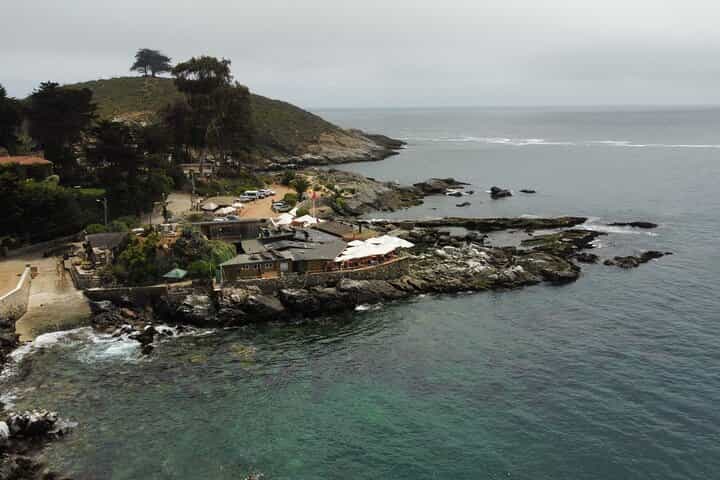 Zapallar and Papudo Tour with Penguins and Horseback Riding