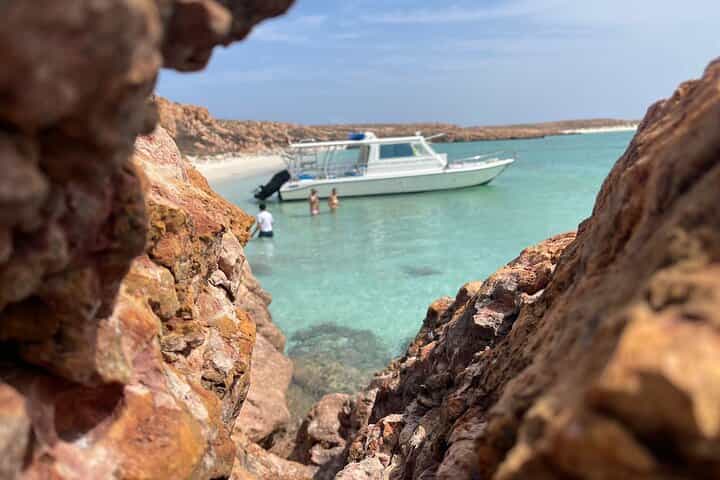 Snorkeling trips to Daymaniat Island