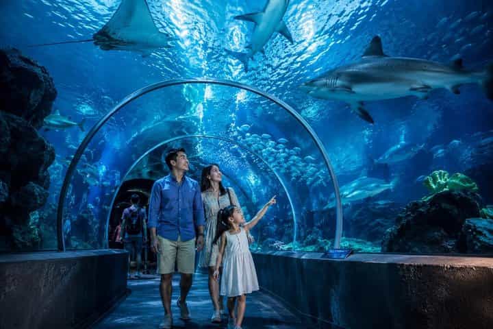 SEA LIFE Bangkok Ocean World Standard Admission Ticket