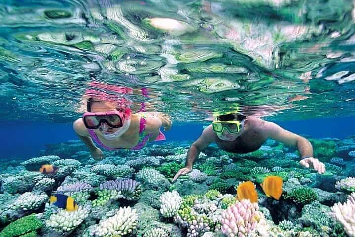 Cham Island Discovery: Snorkeling, Sightseeing & Seafood Set Menu