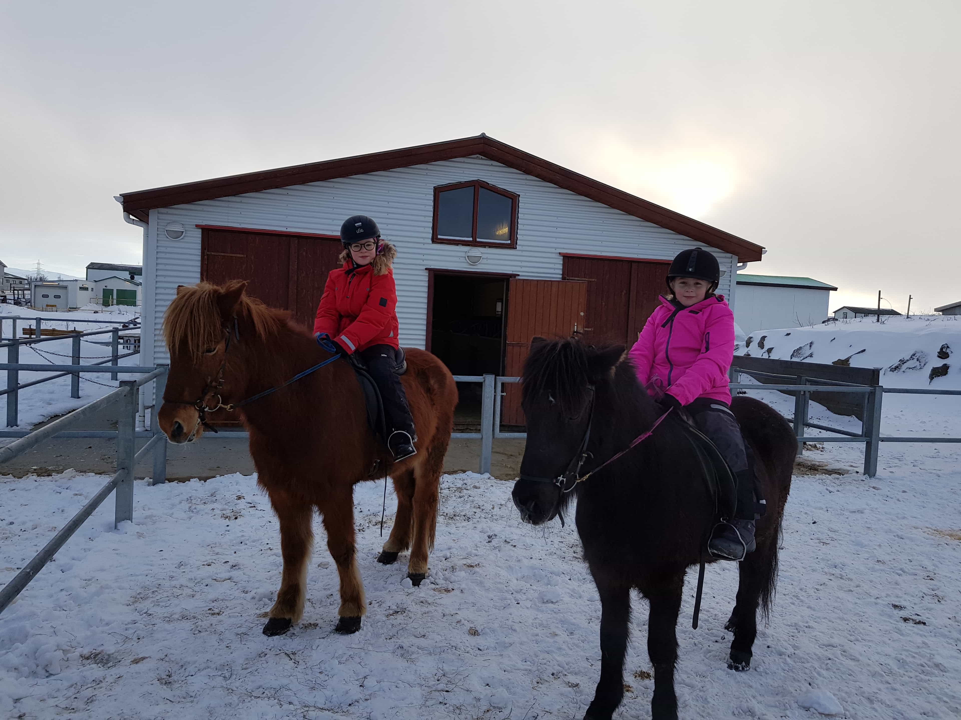 1 Hour - Winter Red lava Tour (With or Without Pick Up)