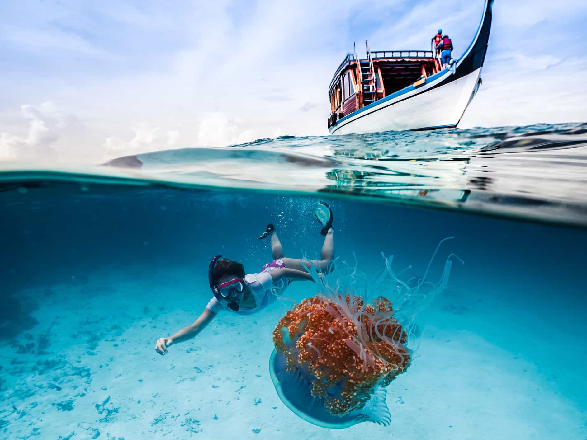 Guided Snorkeling Trip