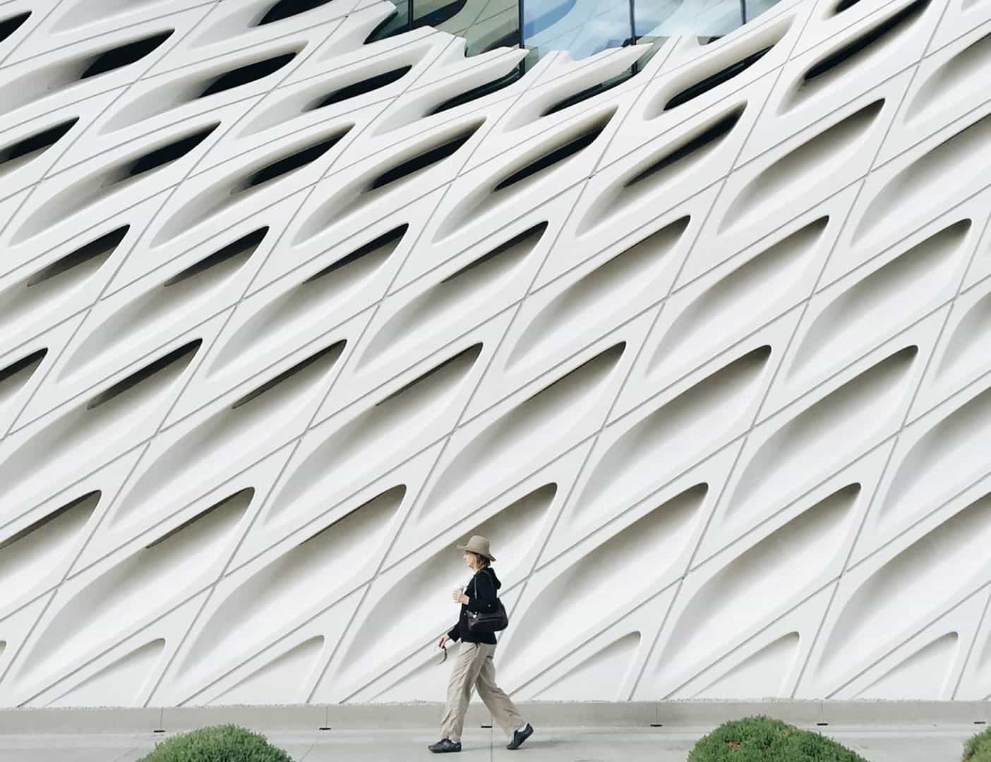 Broad Museum & Downtown Los Angeles Ticket & In-App Tour (IT)