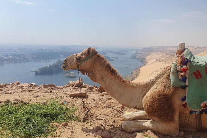 Private Tour Guide and Vehicle in Aswan – Language of Your Choice