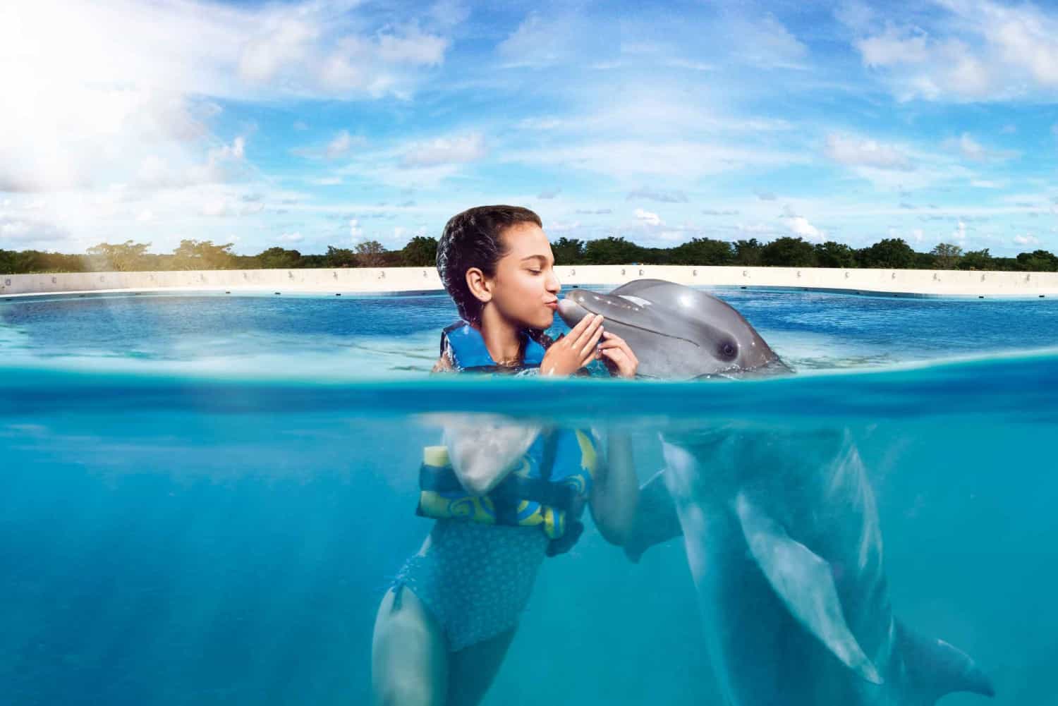 Dolphin Discovery