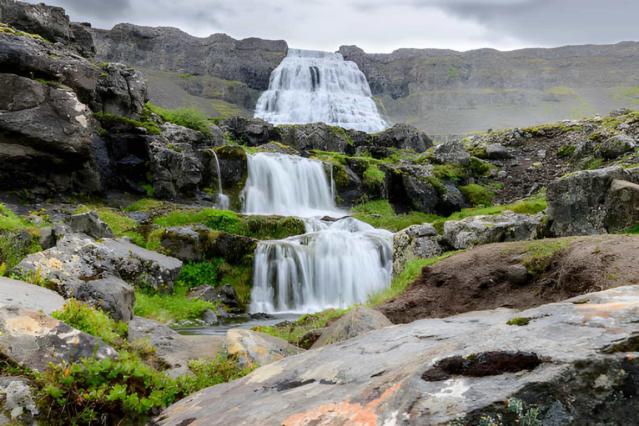 Dynjandi Waterfall and Farm Visit: Small Group Tour from Isafjordur Port