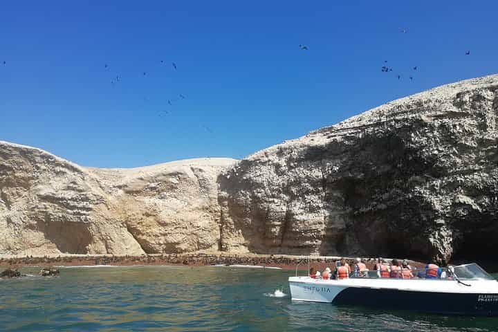 Ballestas Islands, Winery & Nazca Lines Express Tour from Lima