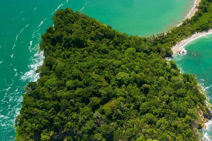 Private Manuel Antonio Park Full day Tour